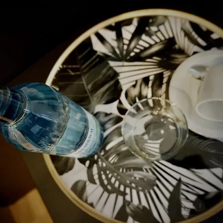 Merian Friedrichshafen