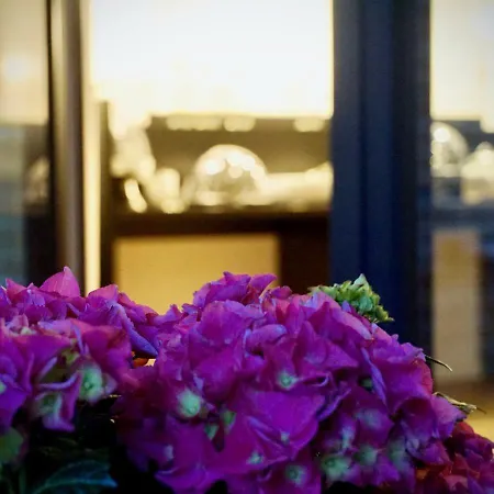 Merian Friedrichshafen