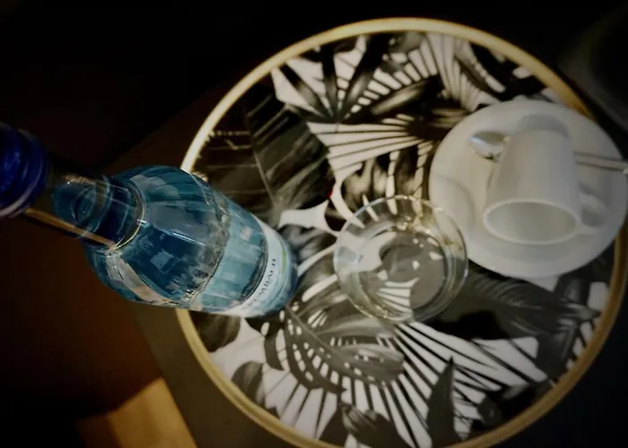 Merian Фридрихсхафен