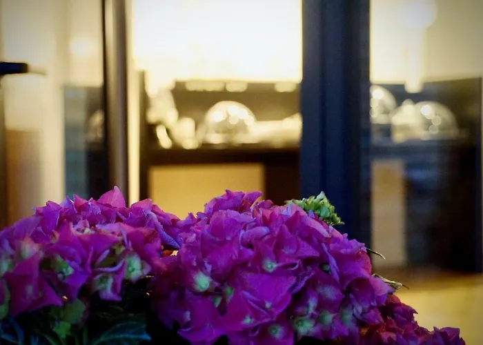 Merian Фридрихсхафен